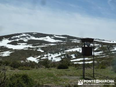 El Puerto del Reventón - San Ildefonso - Rascafria; editorial el senderista